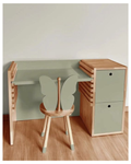 Wooden Kids Study Desk